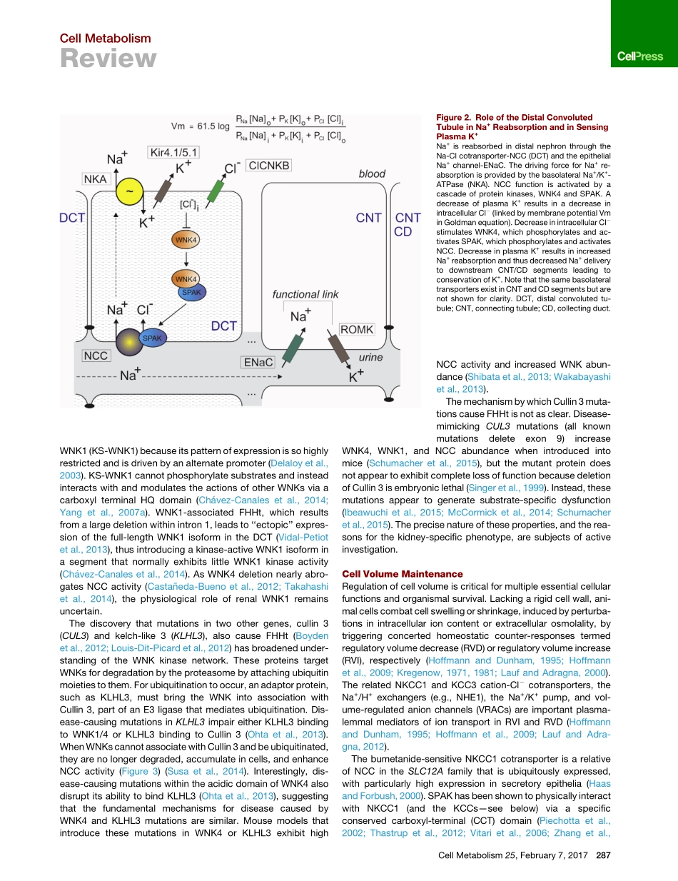 Shekarabi-2017-WNK Kinase Signaling in Ion Hom.pdf_第3页