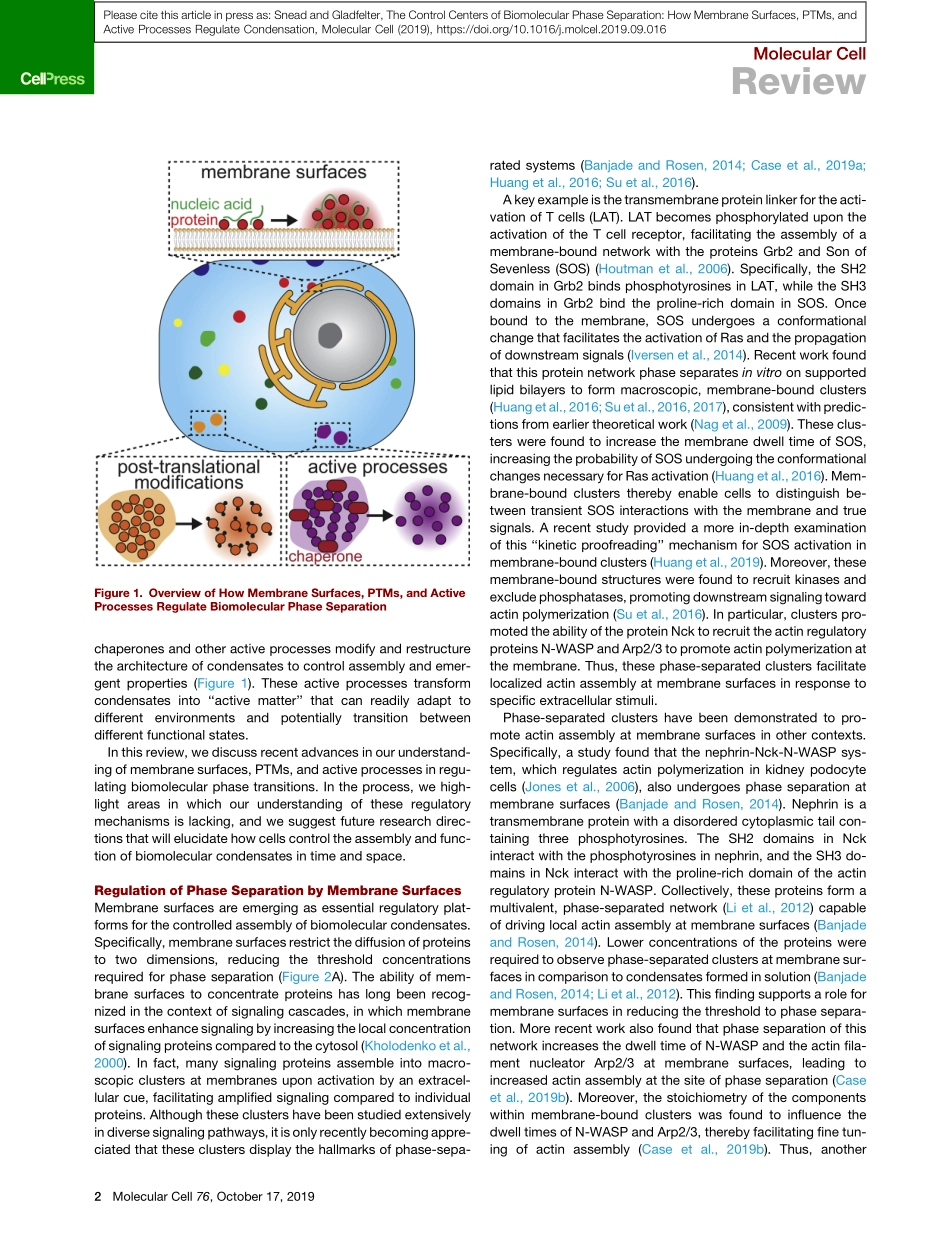 The Control Centers of Biomolecular Phase Sepa.pdf_第2页