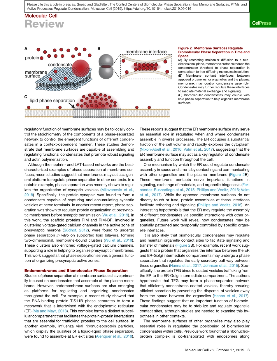 The Control Centers of Biomolecular Phase Sepa.pdf_第3页