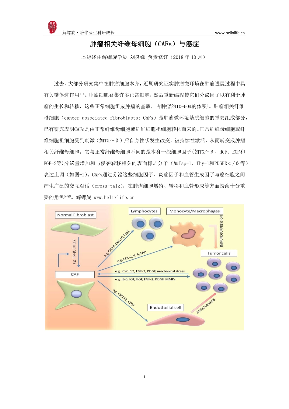 肿瘤相关纤维母细胞（CAFs）与癌症.pdf_第1页