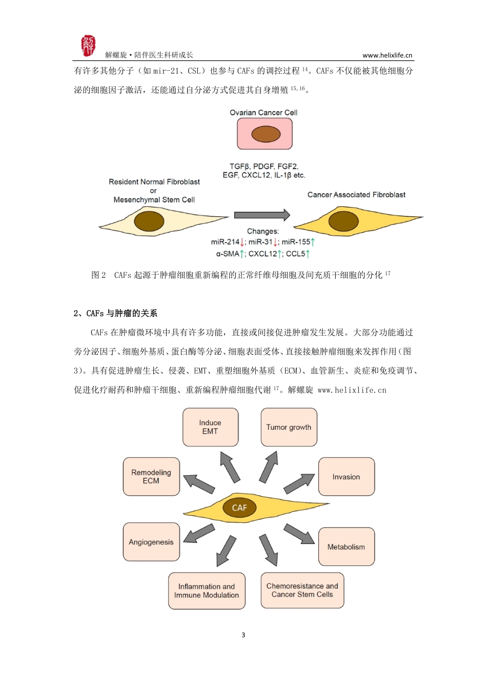 肿瘤相关纤维母细胞（CAFs）与癌症.pdf_第3页