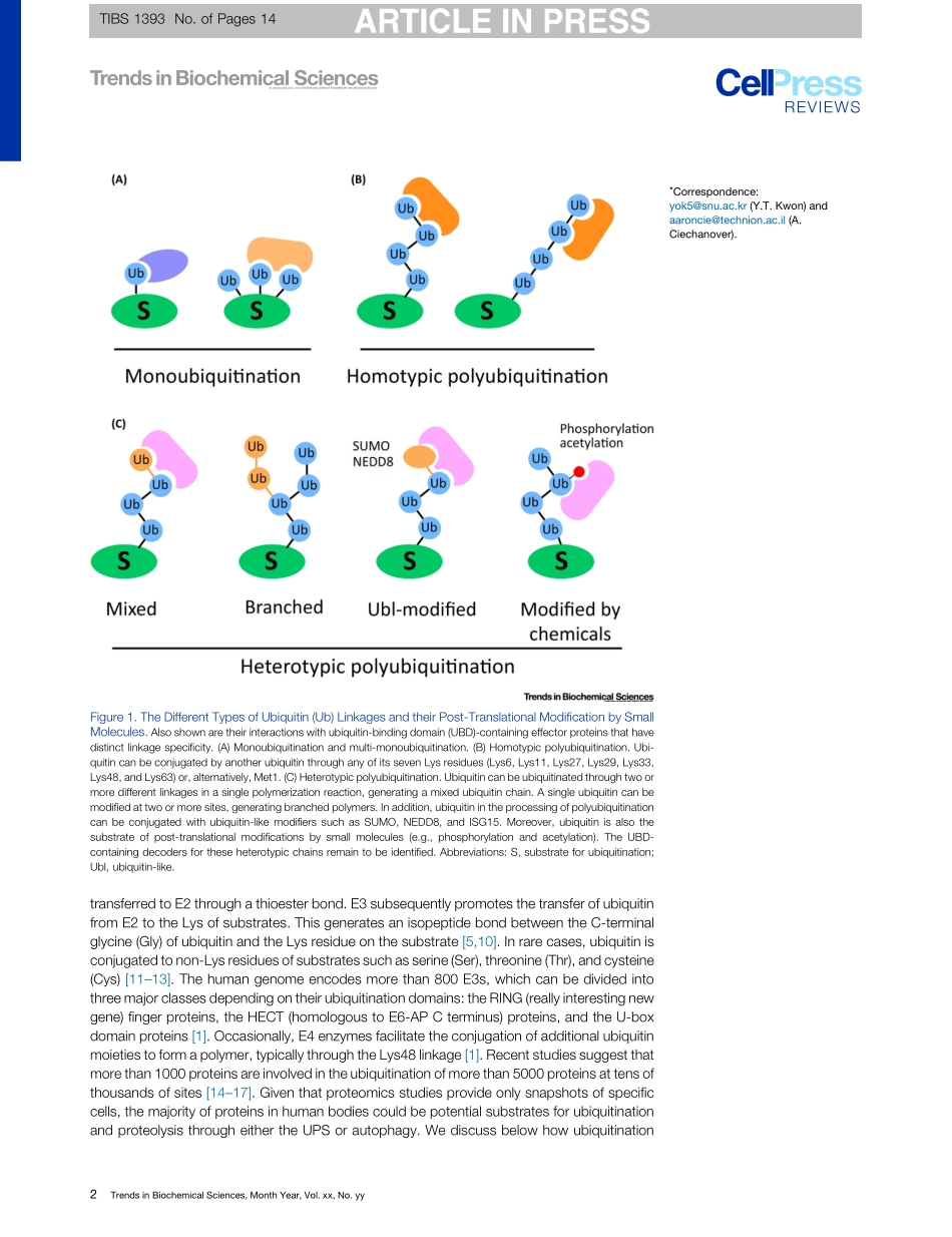 The Ubiquitin Code in the Ubiquitin-Proteasome System and Autophagy.pdf_第2页