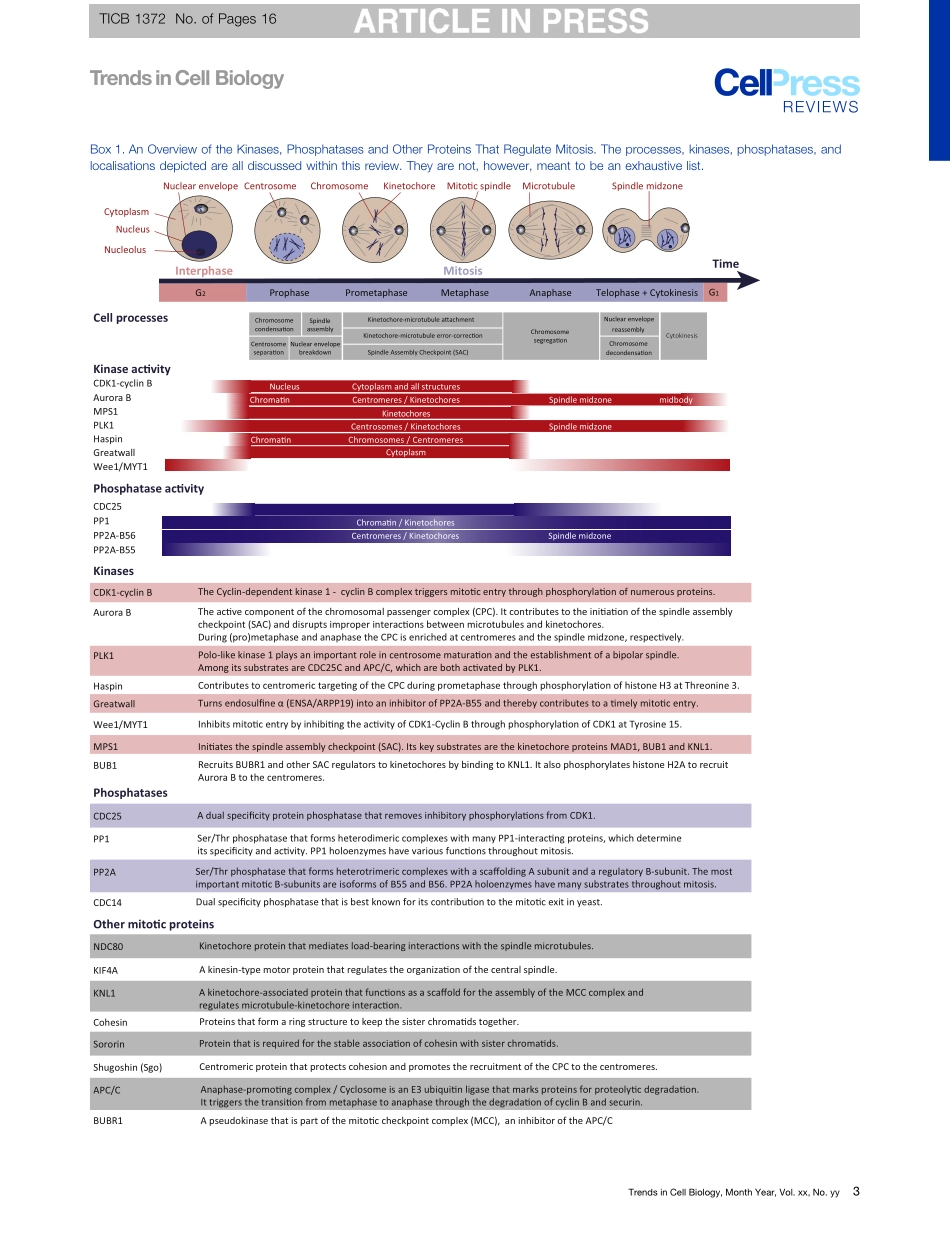 The Importance of Kinase-Phosphatase Integrati.pdf_第3页