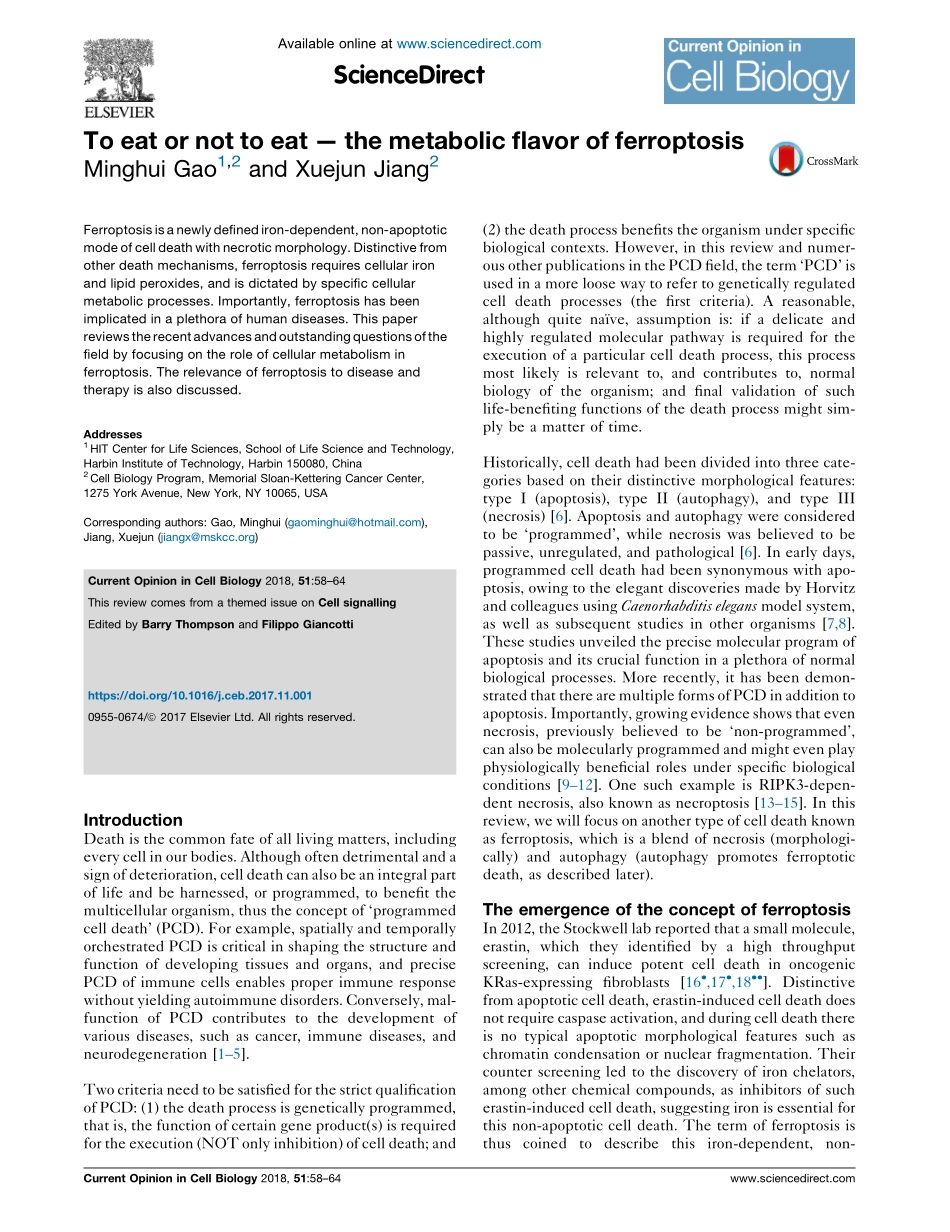 To eat or not to eat — the metabolic flavor of ferroptosis.pdf_第1页