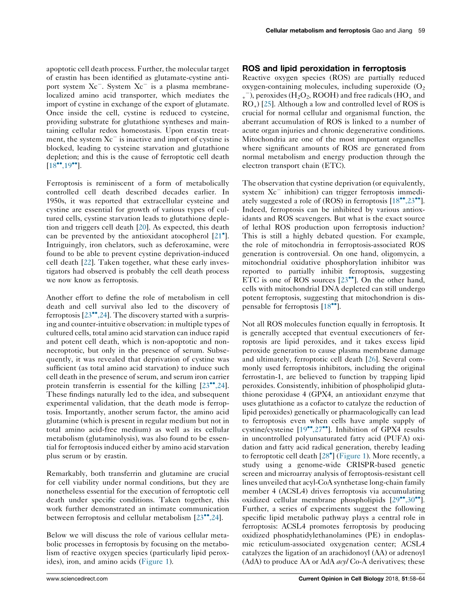 To eat or not to eat — the metabolic flavor of ferroptosis.pdf_第2页