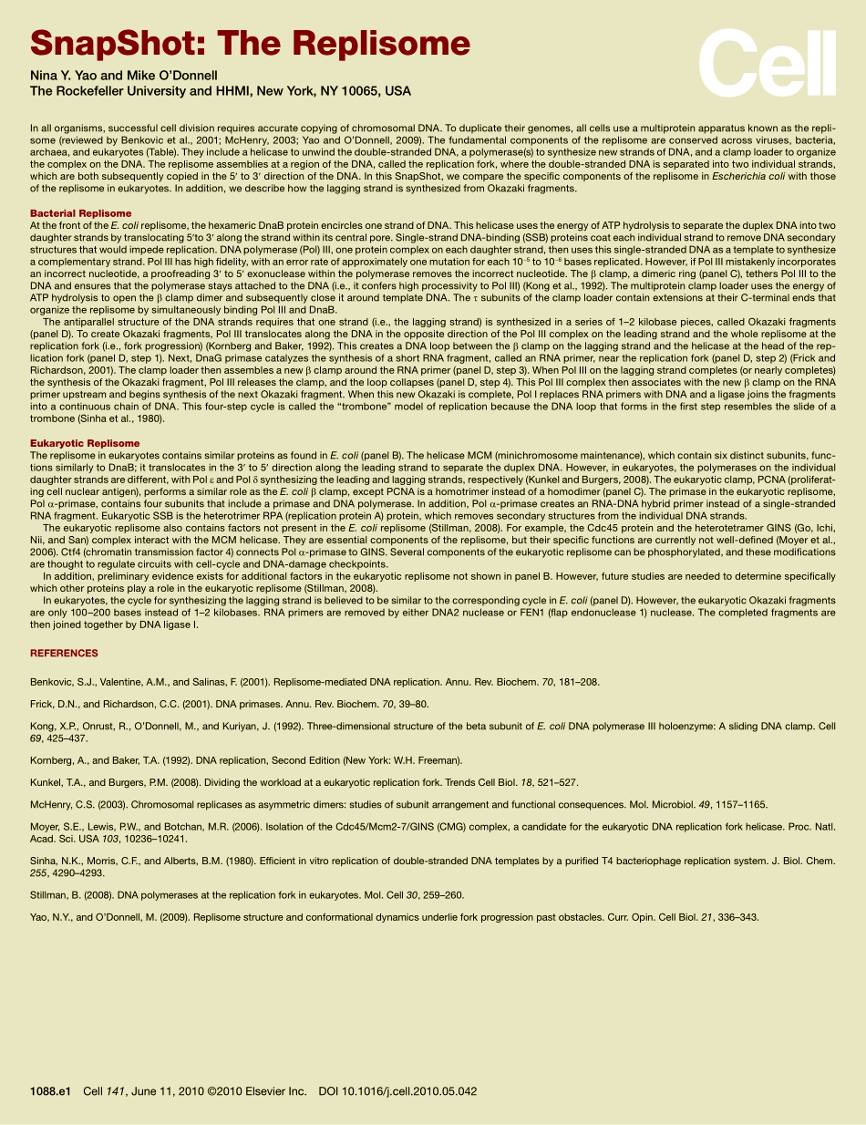 The Replisome.PDF_第2页