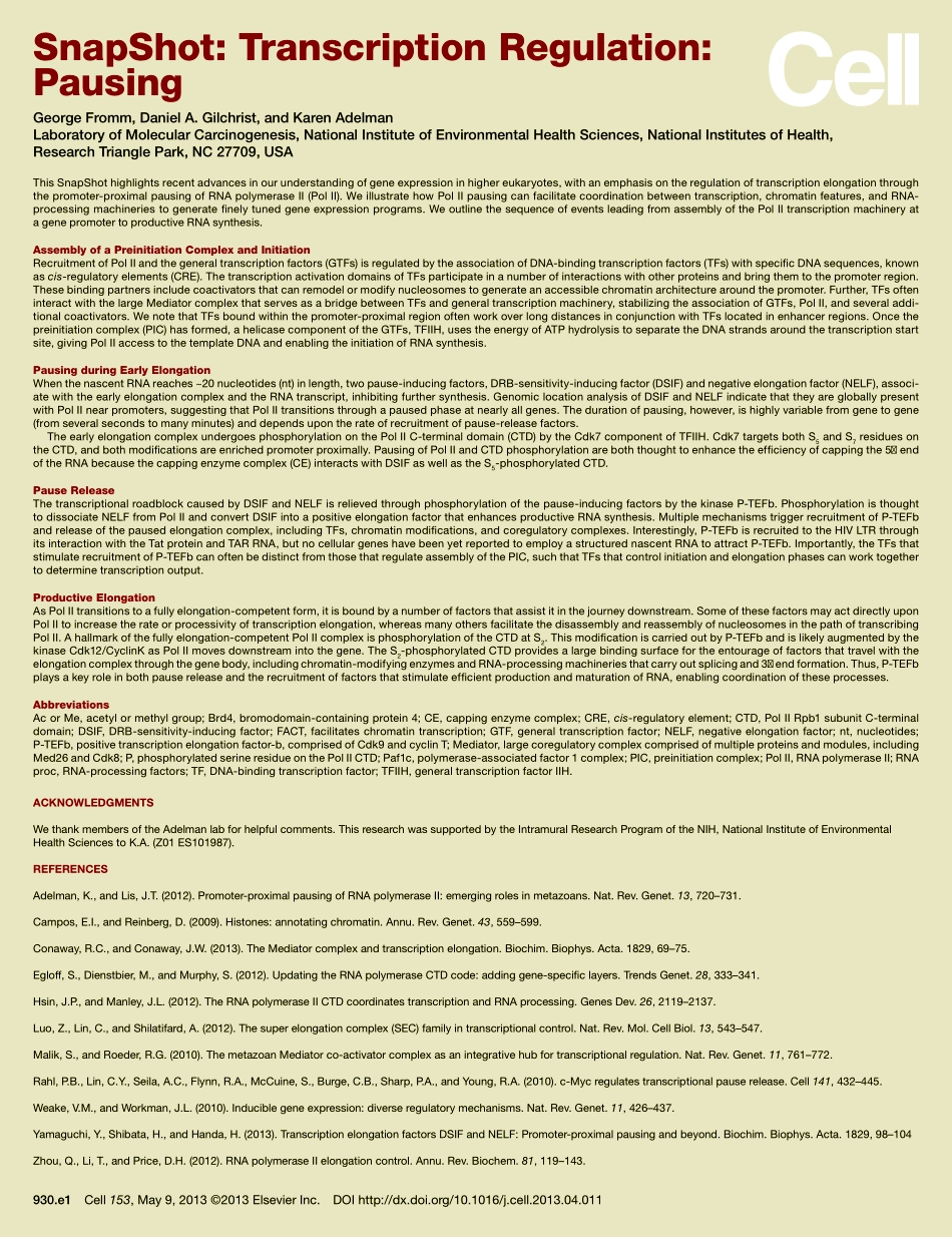 Transcription Regulation Pausing.pdf_第2页