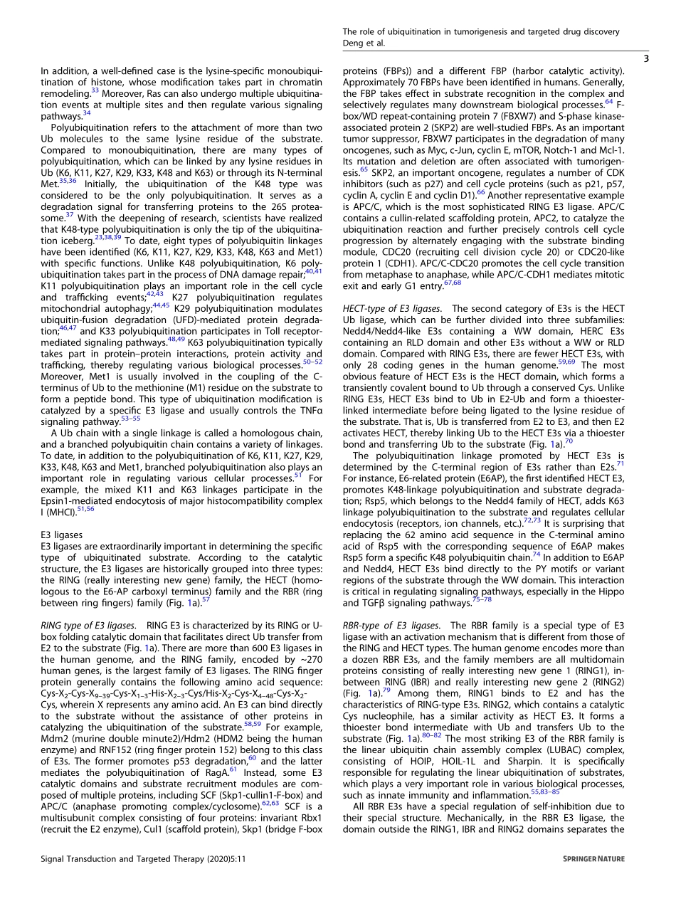 The role of ubiquitination in tumorigenesis an.pdf_第3页