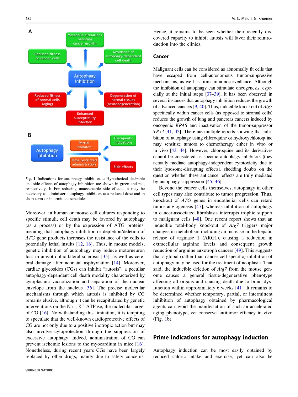 Therapeutic modulation of autophagy which dise.pdf_第3页