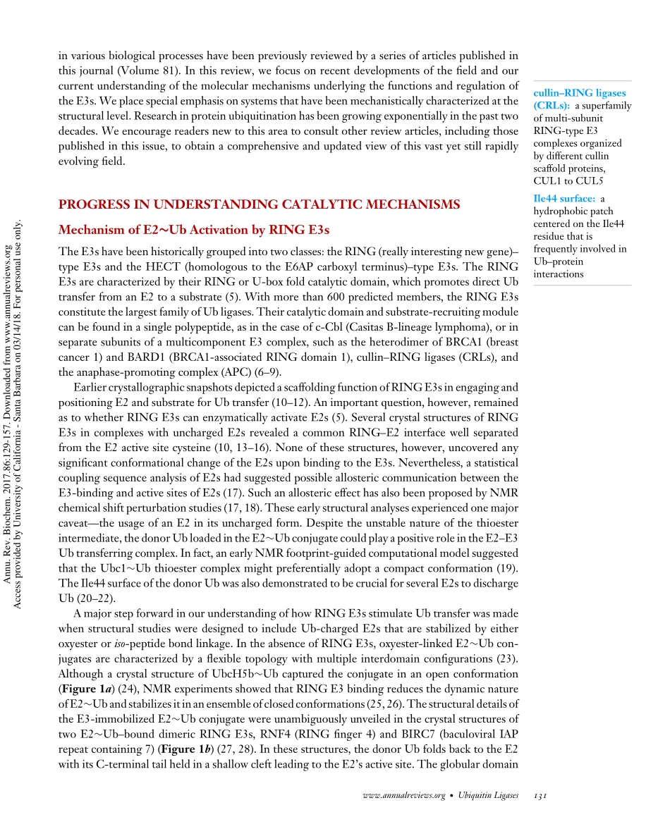 Ubiquitin Ligases- Structure, Function, and Regulation.pdf_第3页