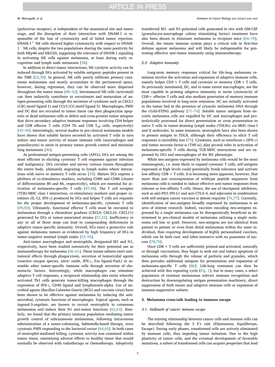 Unraveling the crosstalk between melanoma and.pdf_第3页