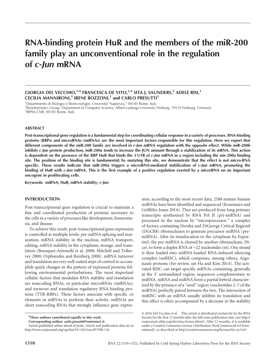 RNA-binding protein HuR and the members of the miR-200 family play an unconventional role in the regulation of c-Jun mRNA.pdf_第1页