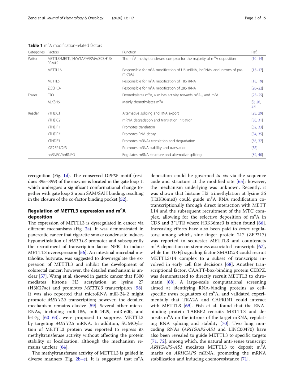 Roles of METTL3 in cancer mechanisms and thera.pdf_第3页