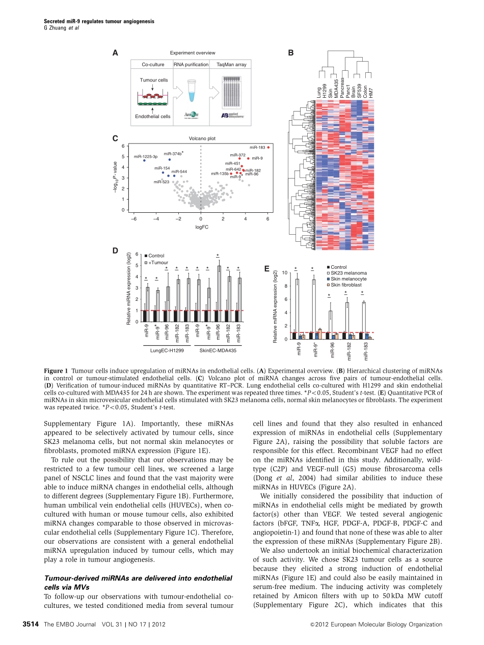 案例一tumor secreted miR-9-JAK-STAT_EMBO.pdf_第2页