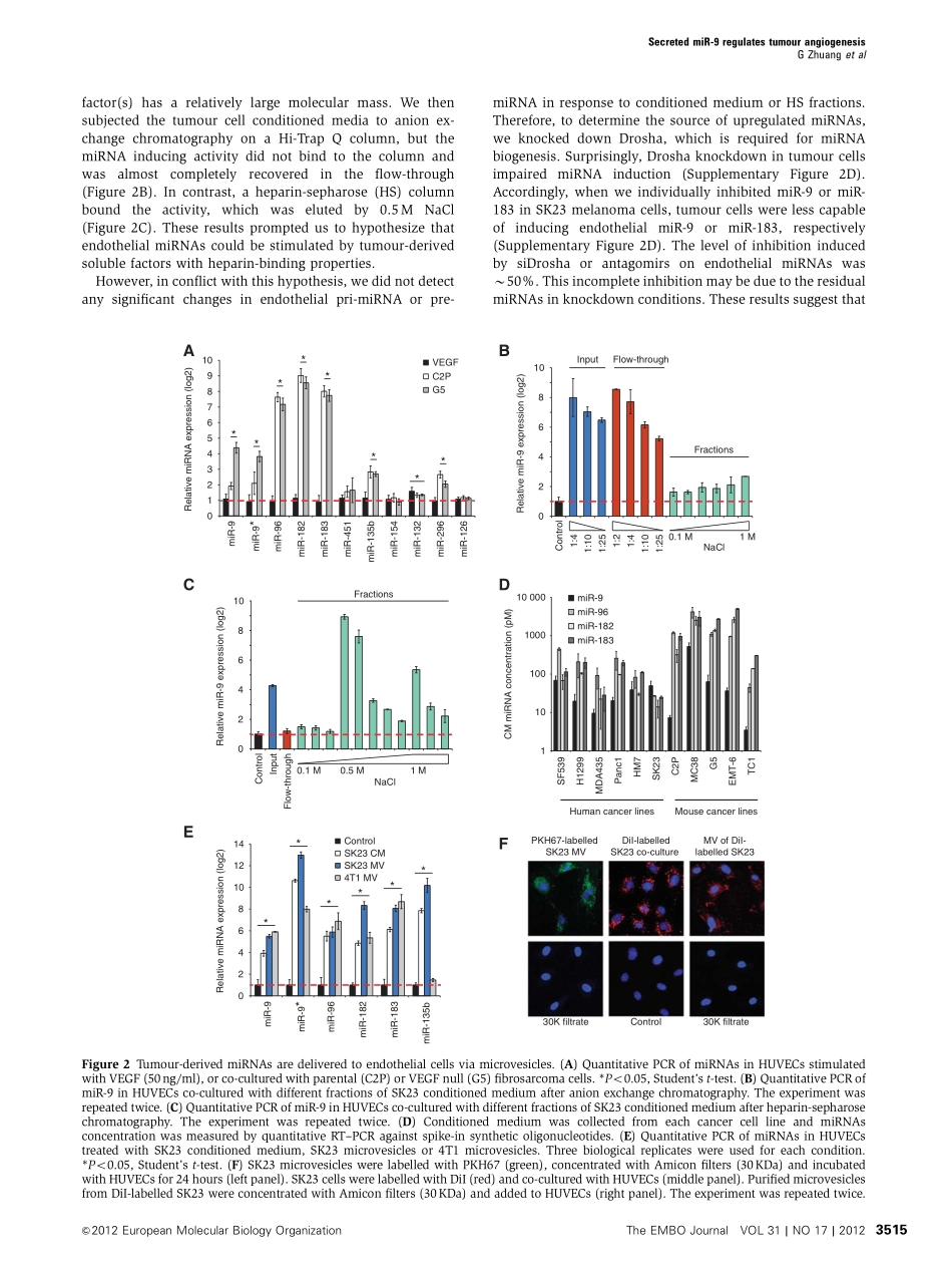 案例一tumor secreted miR-9-JAK-STAT_EMBO.pdf_第3页