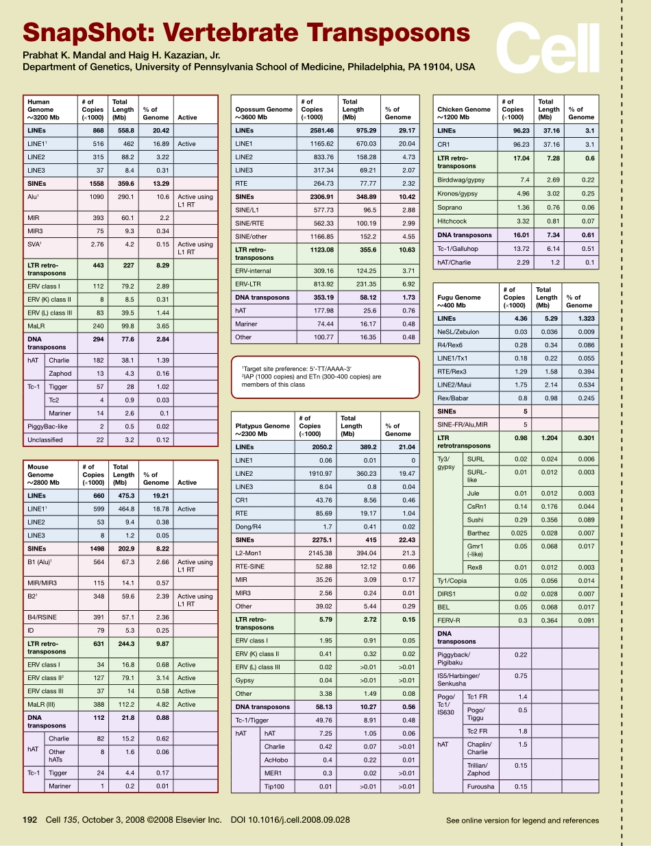 Vertebrate Transposons.PDF_第1页