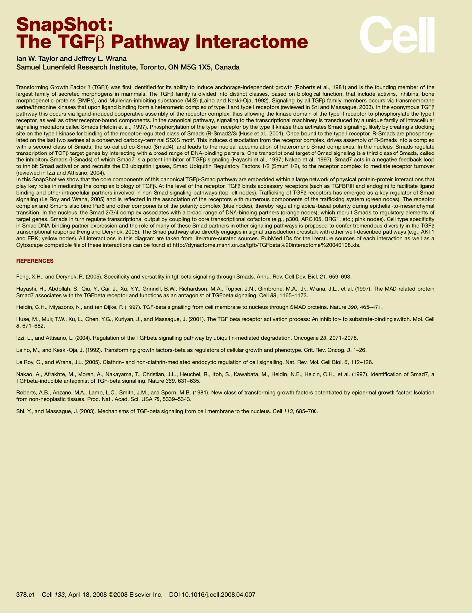 TGF β Pathway Interactome.pdf_第2页