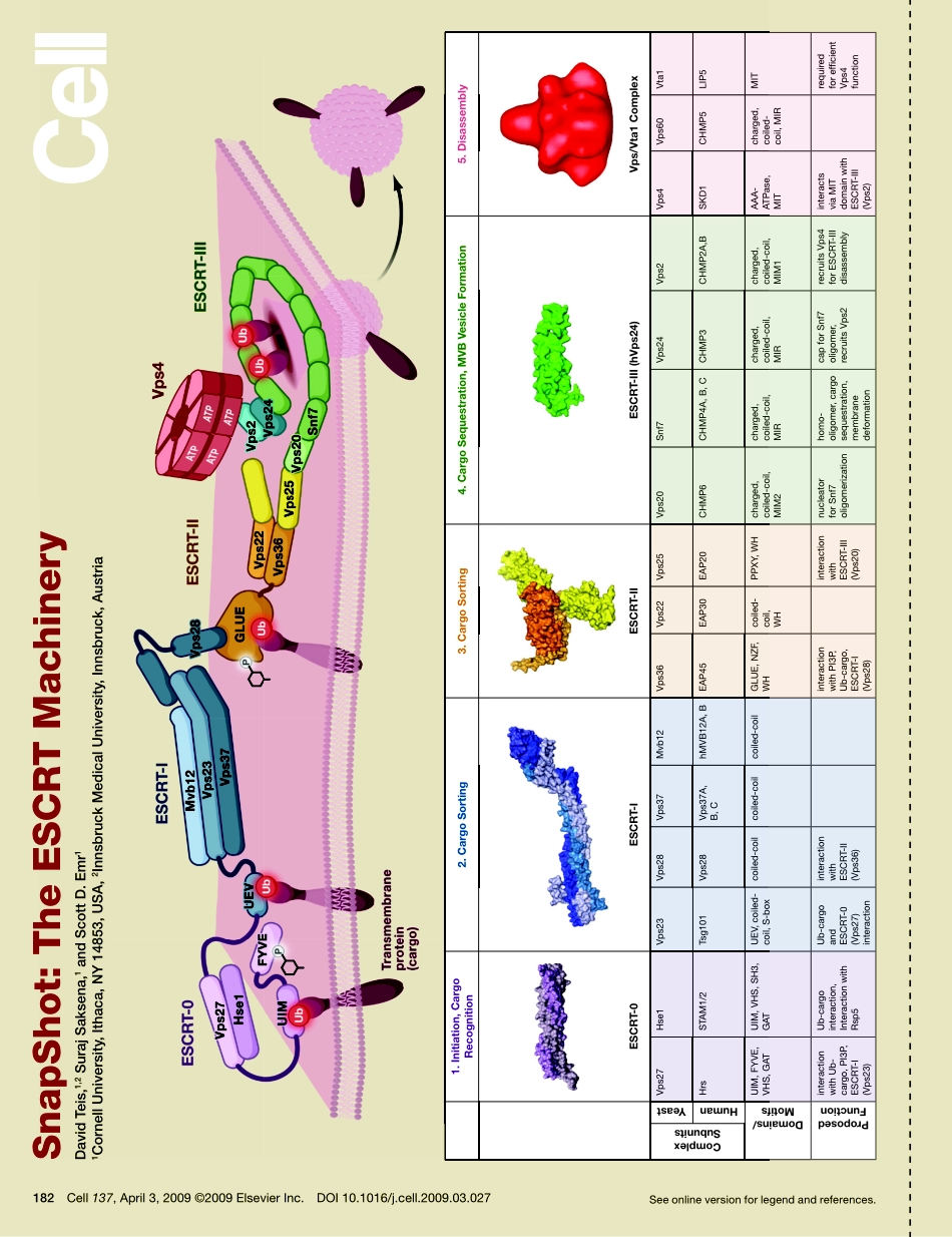 The ESCRT Machinery.PDF_第1页