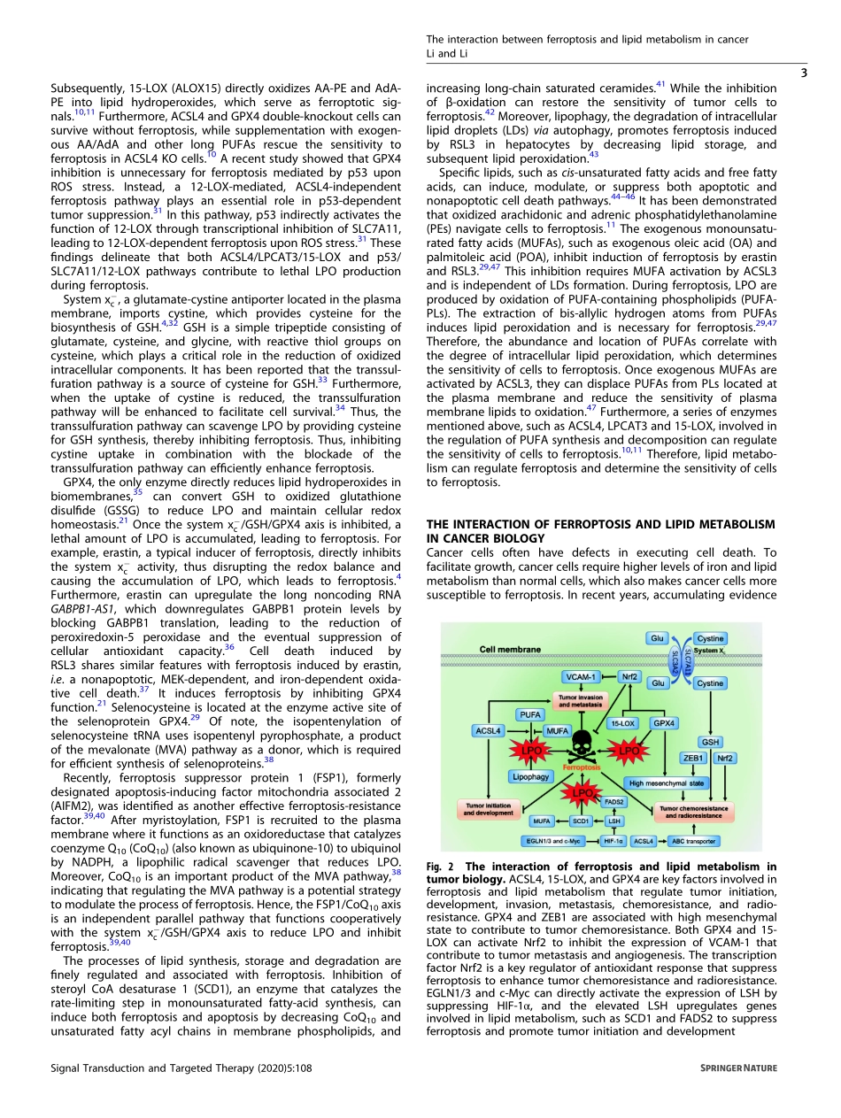 The interaction between ferroptosis and lipid.pdf_第3页