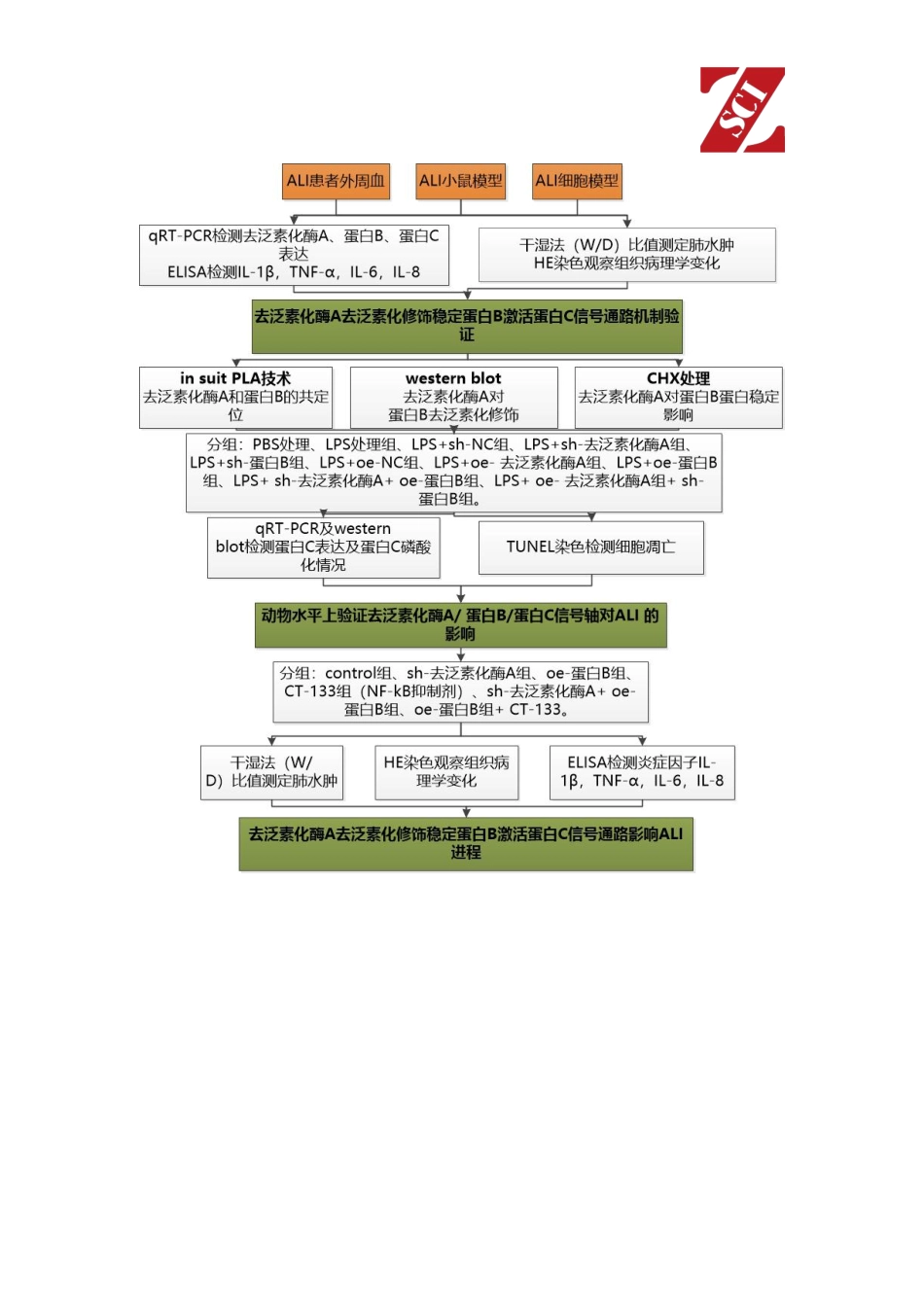 国自然热点中标项目分析（组蛋白修饰）.pdf_第3页