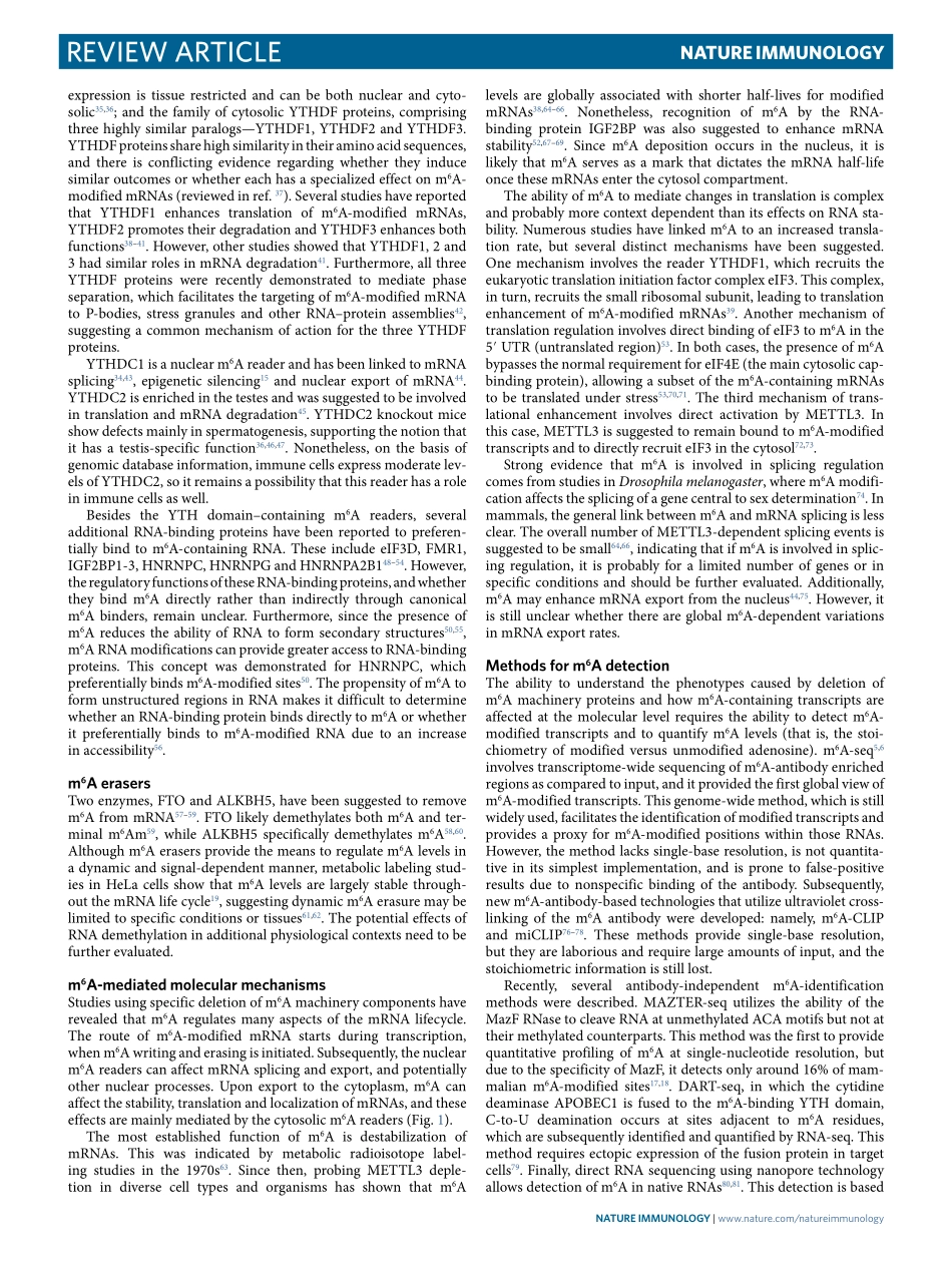 The RNA modification N6-methyladenosine as a n.pdf_第2页