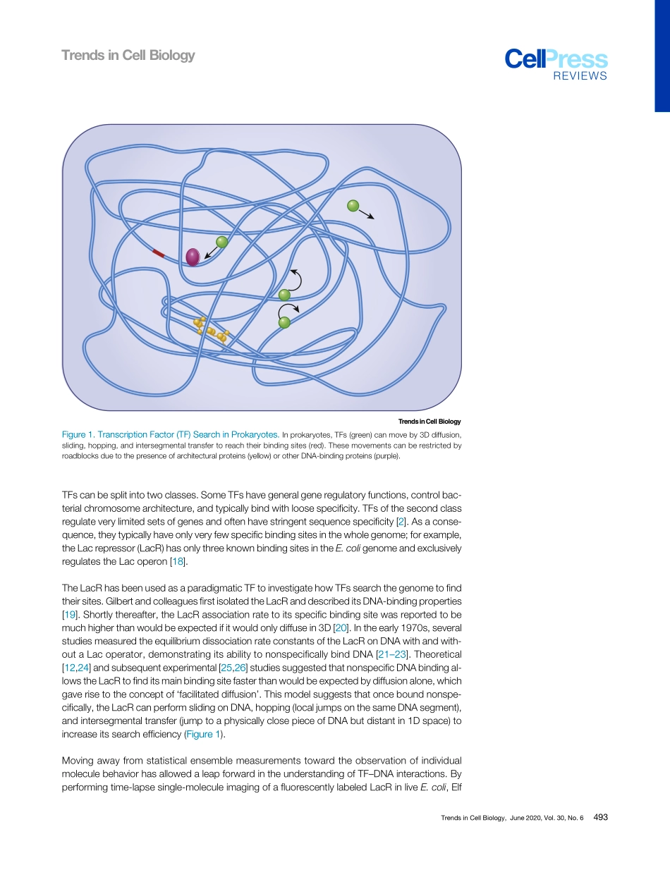 Transcription Factors and DNA Play Hide and Se.pdf_第3页