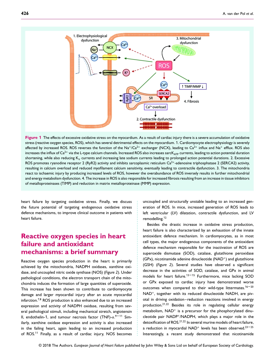 Treating oxidative stress in heart failure pas.pdf_第2页