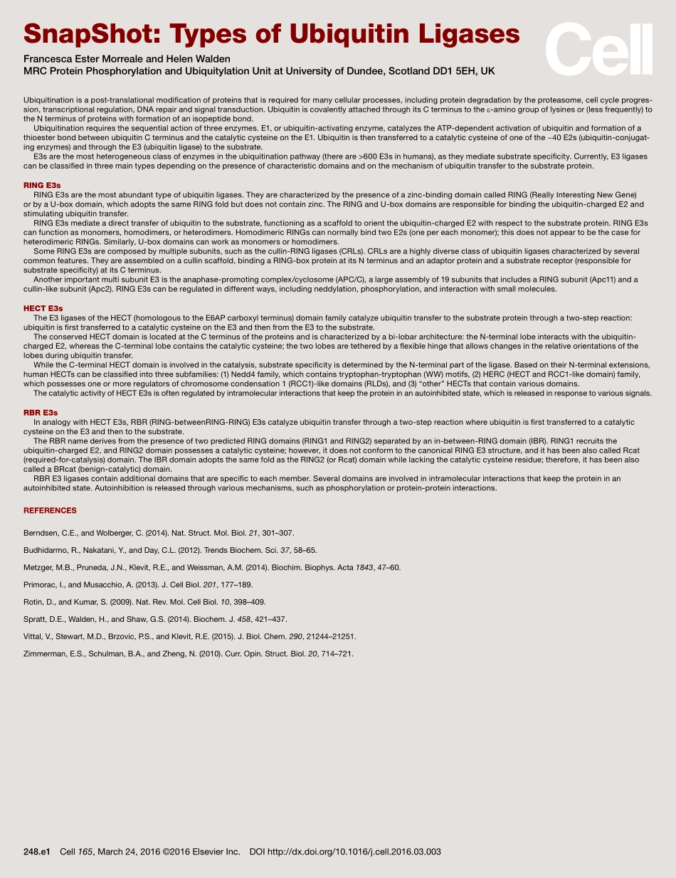 Types of Ubiquitin Ligases.pdf_第2页