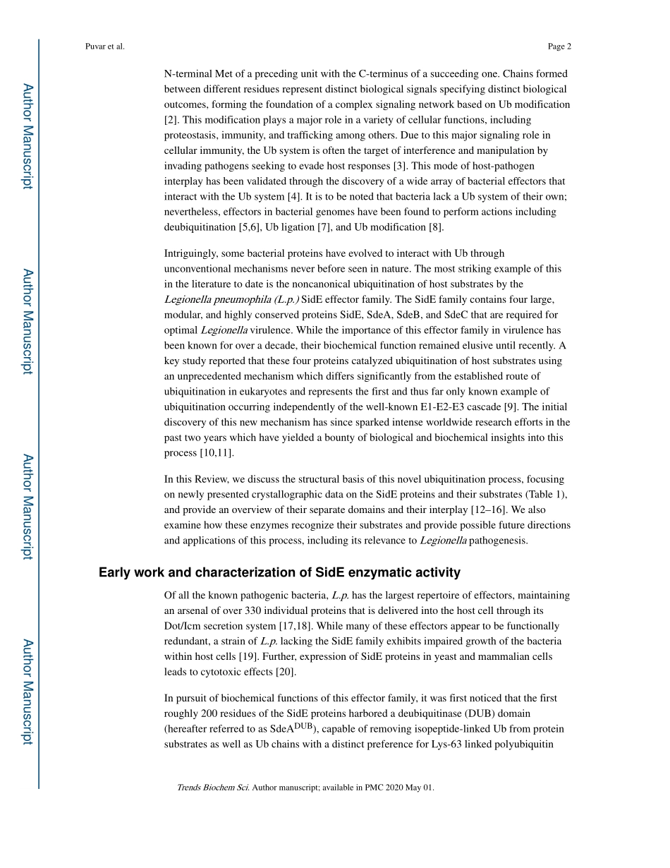 Uncovering the Structural Basis of a New Twist.pdf_第2页