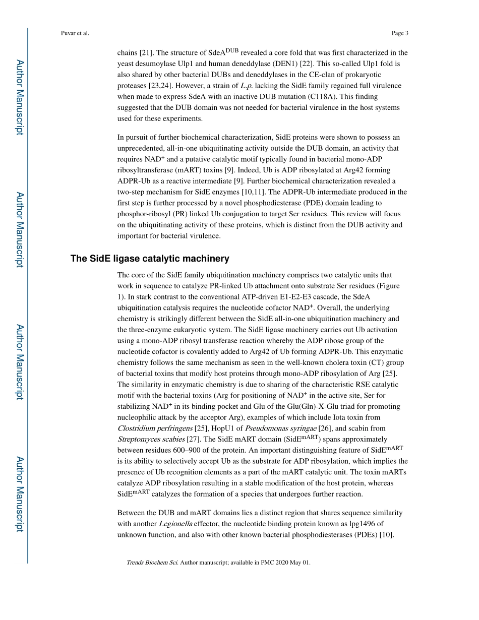 Uncovering the Structural Basis of a New Twist.pdf_第3页