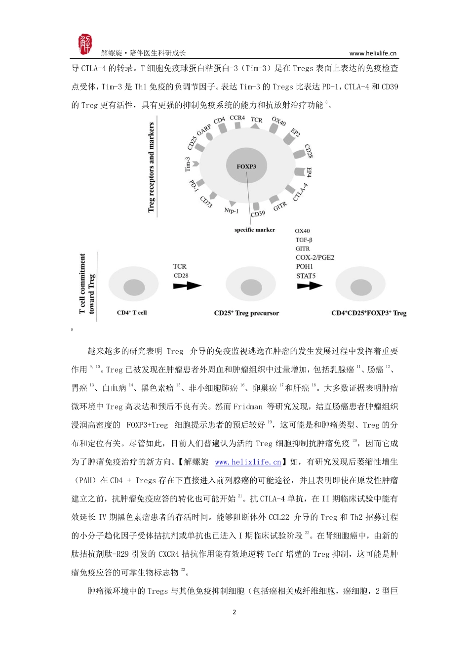 调节性T细胞介导免疫逃逸在肿瘤中的作用.pdf_第2页
