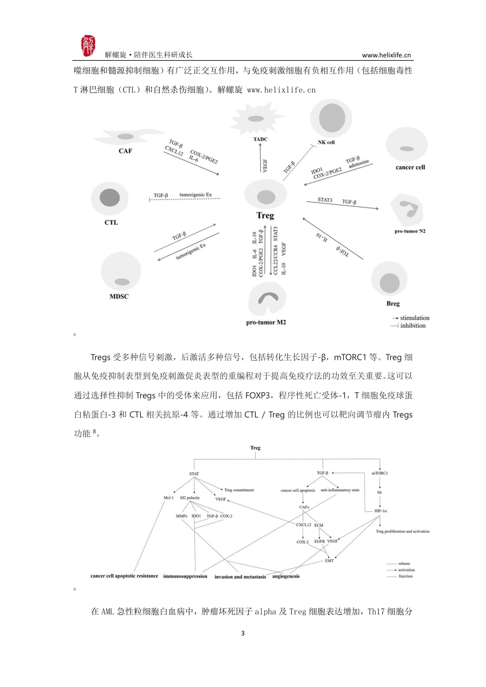 调节性T细胞介导免疫逃逸在肿瘤中的作用.pdf_第3页