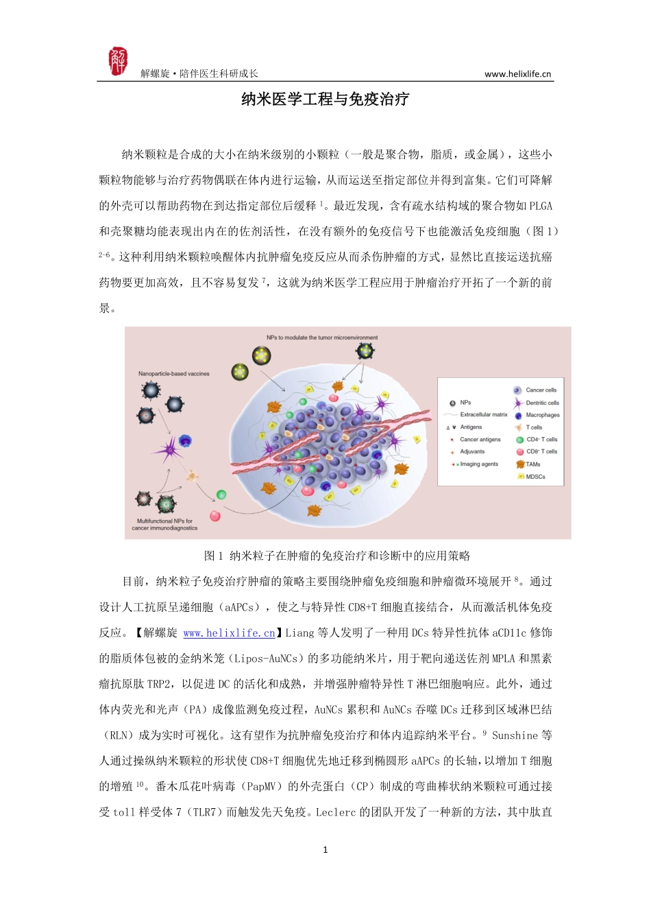 纳米医学工程与免疫治疗.pdf_第1页