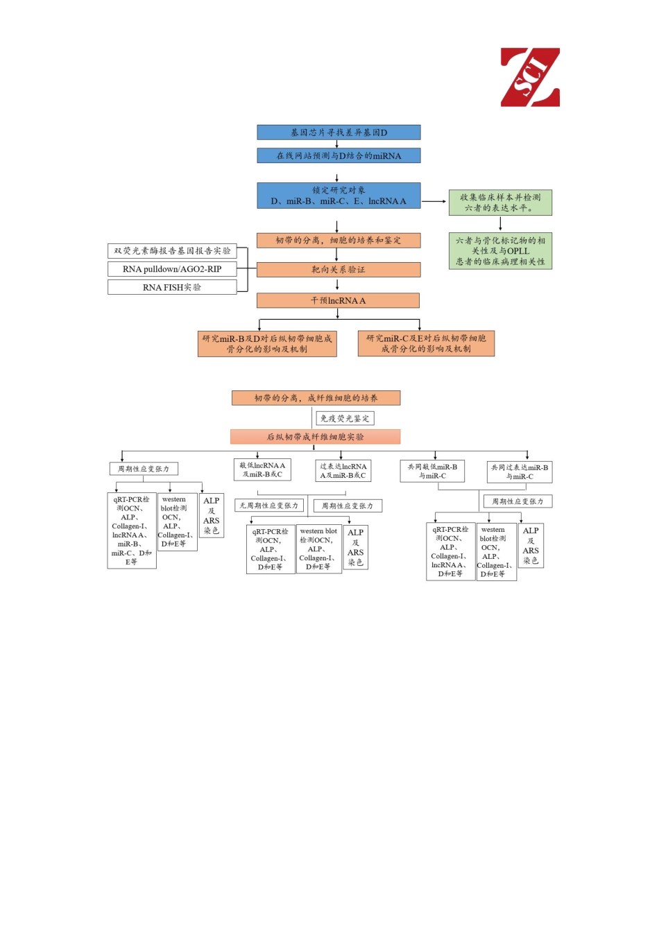 国自然热点中标项目分析（LncRNA).pdf_第3页