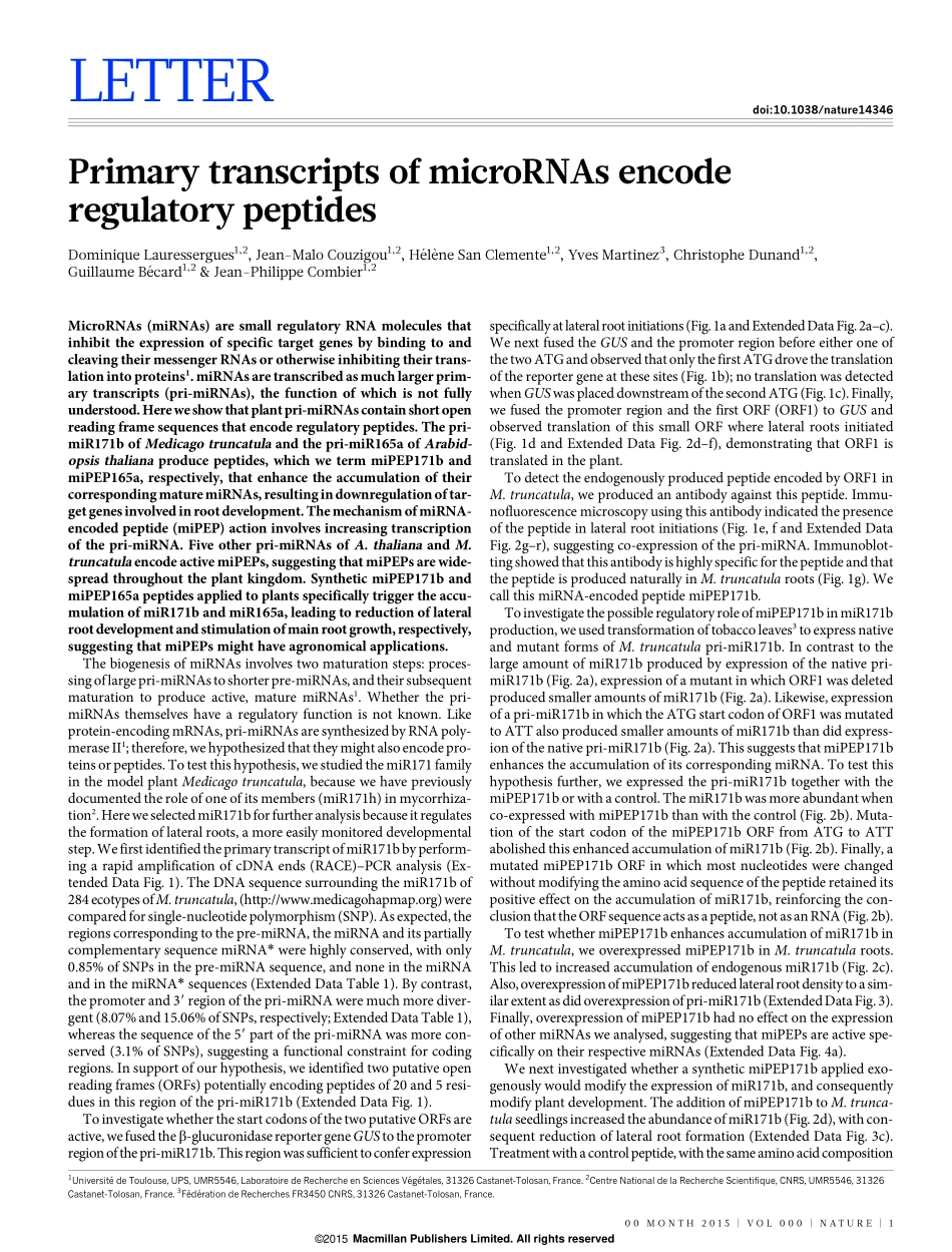 前体翻译多肽Primary transcripts of microRNAs encode regulatory peptides.pdf_第1页