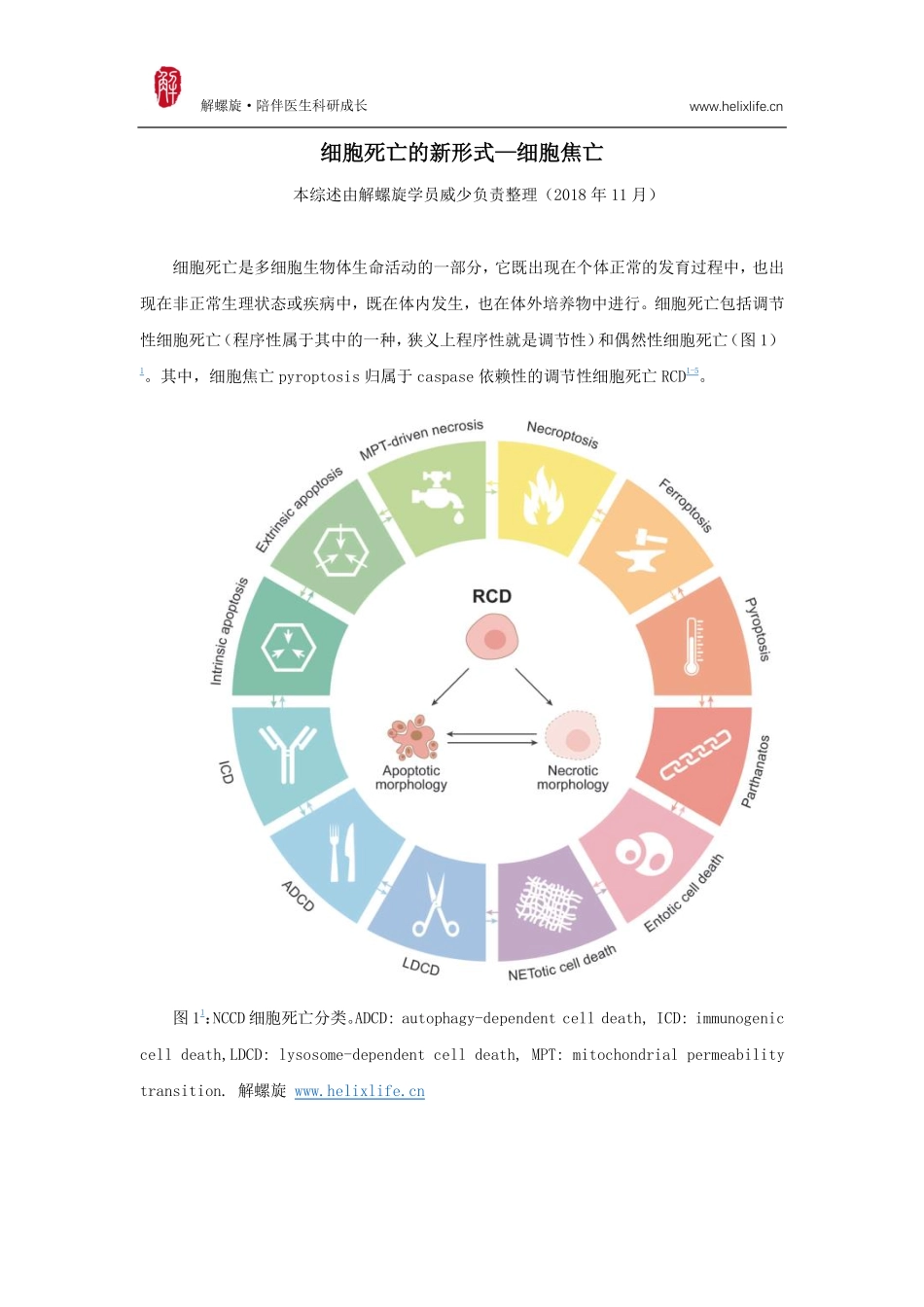 细胞焦亡.pdf_第1页