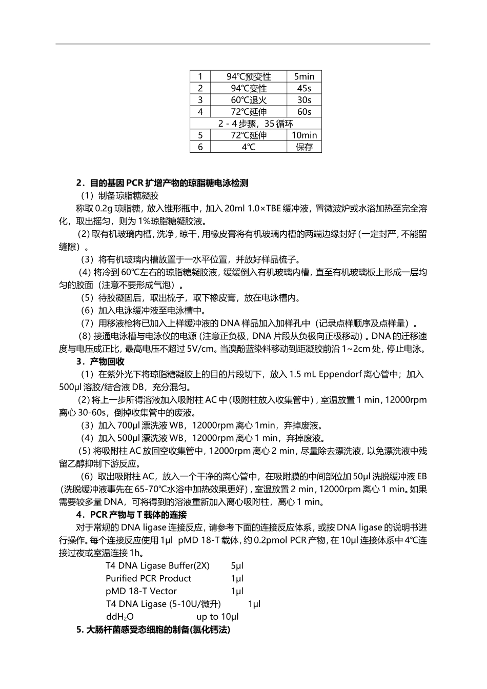 目的基因PCR扩增产物的克隆.doc_第2页