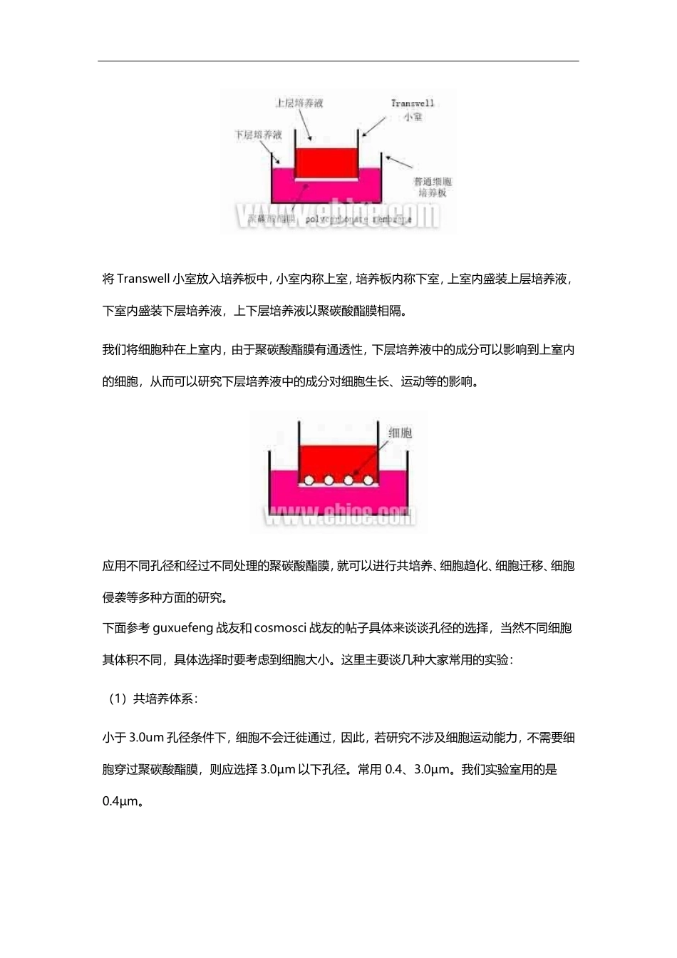 transwell实验方法.doc_第2页
