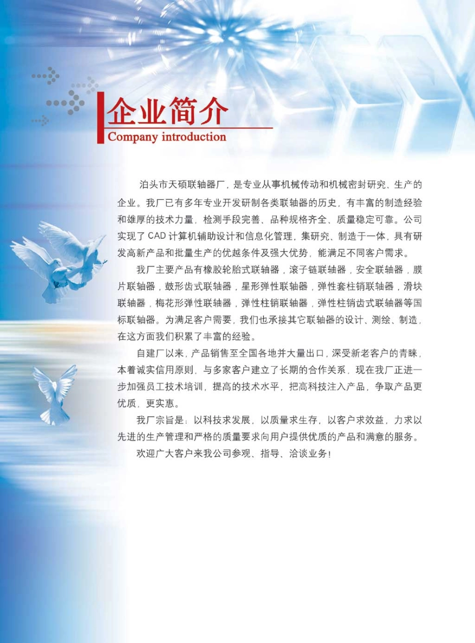 18.联轴器选型手册 (2).pdf_第2页