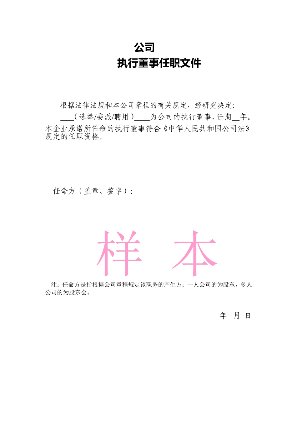公司执行董事任职文件 (2).doc_第1页