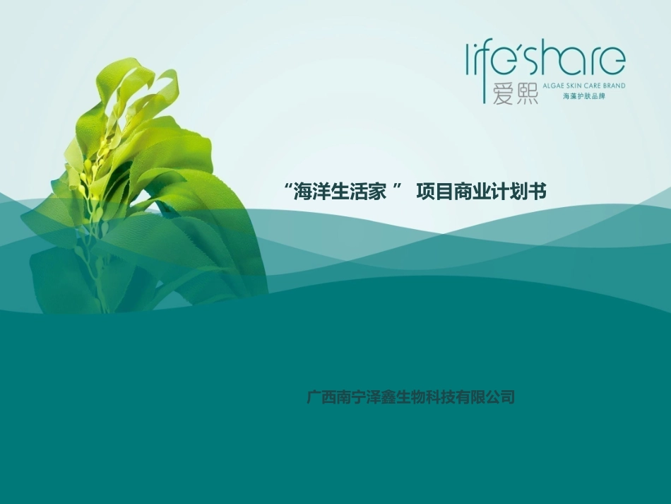 海洋生活家商业计划书.pdf_第1页