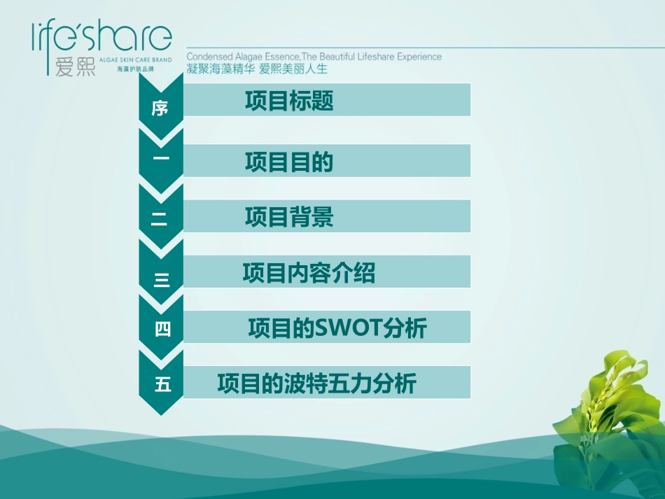 海洋生活家商业计划书.pdf_第2页