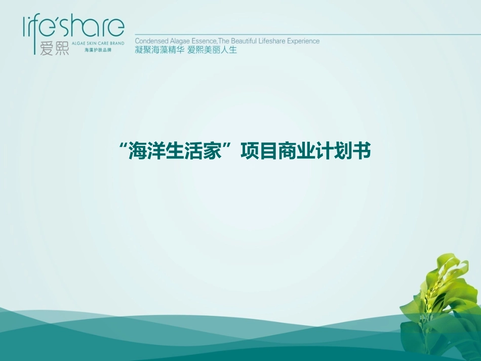 海洋生活家商业计划书.pdf_第3页