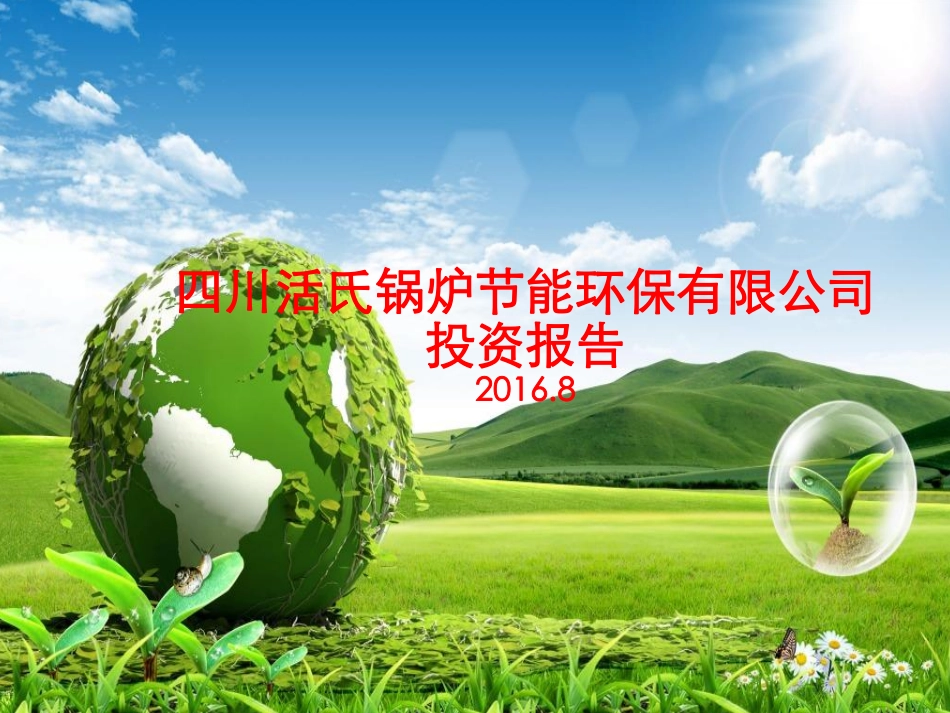 活氏锅炉并购商业计划书.pdf_第1页
