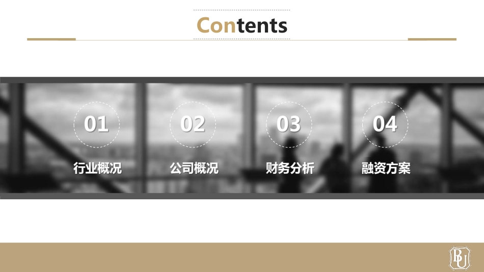 金橙项目计划书.pdf_第2页