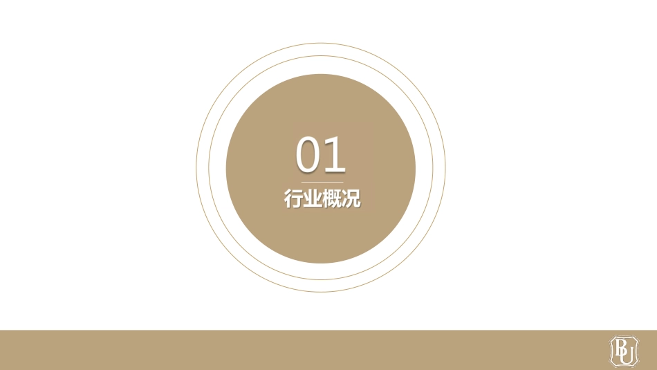 金橙项目计划书.pdf_第3页