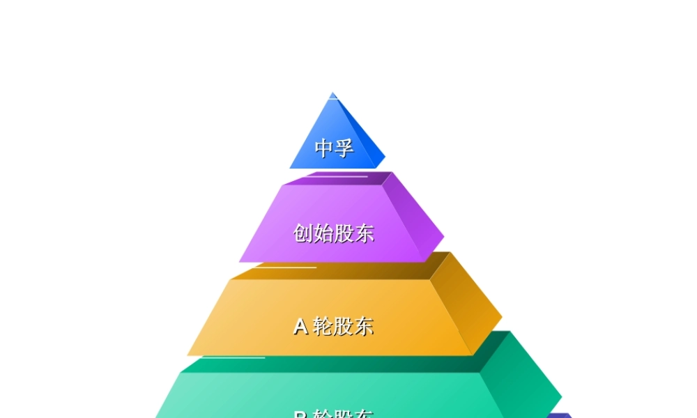 4种股东设计方案.ppt