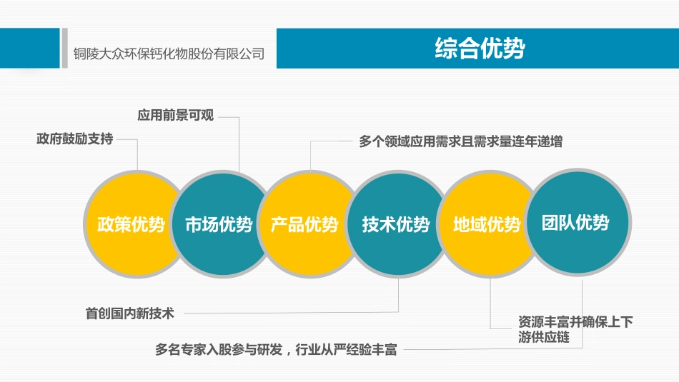 铜陵大众环保钙化物股份有限公司.pdf_第2页