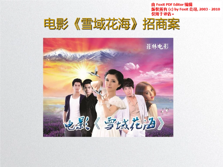 网大电影《雪域花海第二部》商业计划书.pdf_第1页