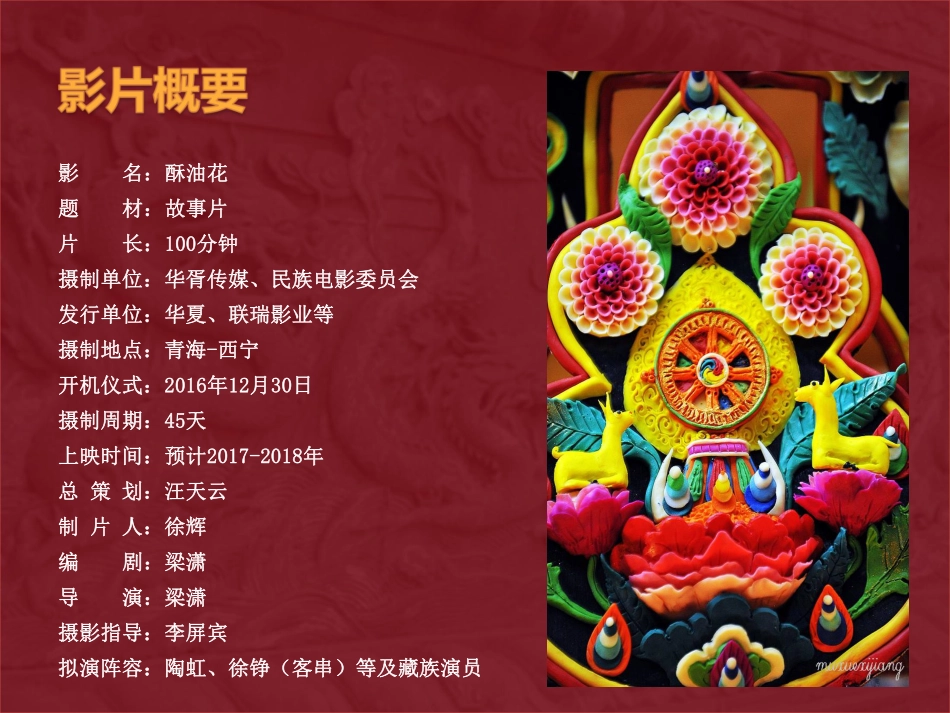 电影《酥油花》商业计划书.pdf_第2页